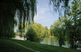 绿色美景