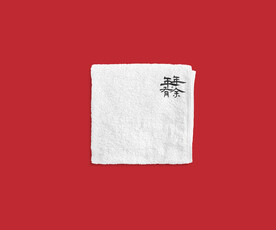 餐巾纸样机  