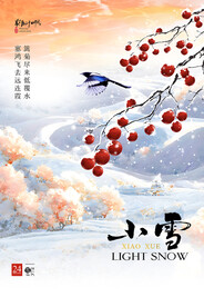 简洁小雪节气设计海报