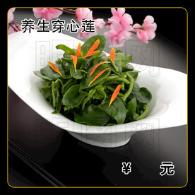 养生穿心莲
