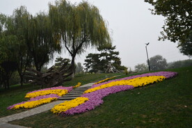 公园风景 