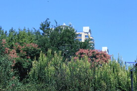 公园风景 