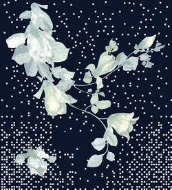 定位花