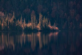 树林湖景
