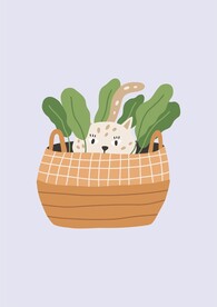 菜篮子小猫咪