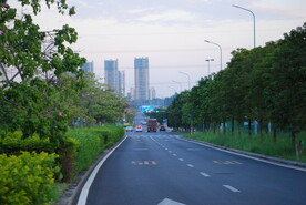 城市绿化