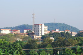 村子自建房