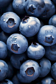 新鲜蓝莓水果图片