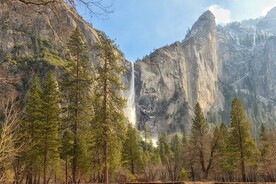 山脉树林风景