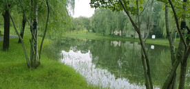 湖