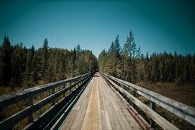 林中木桥道路