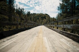 林中木桥道路