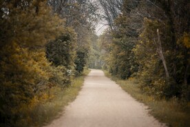 林间道路