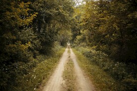 林间小路
