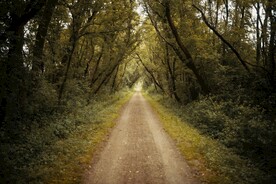 林间小路