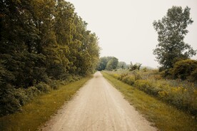 林间道路