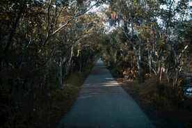 林间小路