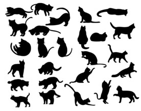 猫剪影