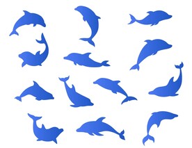 海豚剪影