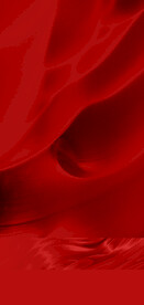 红金质感 喜庆底纹 红色底纹 