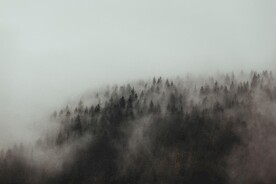 云海环绕的山林