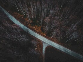 林间道路