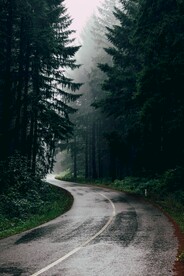 林间道路