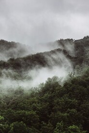  云海环绕山林