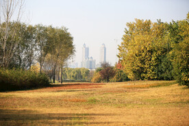 秋天的园林景观