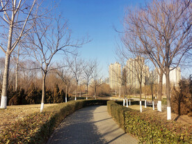 秋天的景观园林