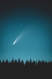 树林剪影和星空