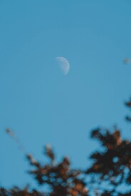 月亮