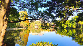 公园美景