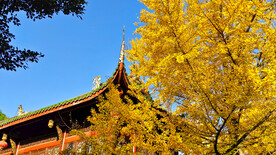秋景