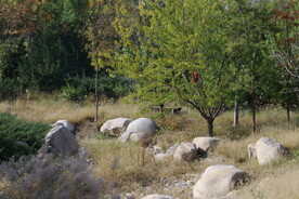 公园风景  