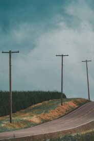 道路和电线杆
