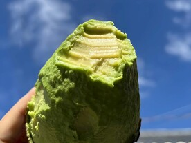 牛油果