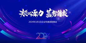 2024 年