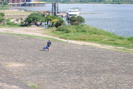河岸遛狗