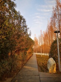 秋日园林
