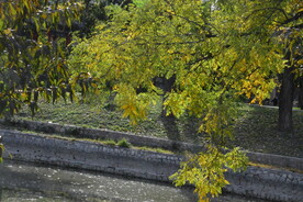 公园风景