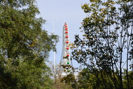 公园风景