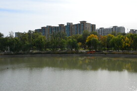 公园风景 