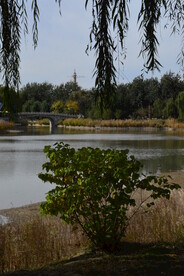 公园风景