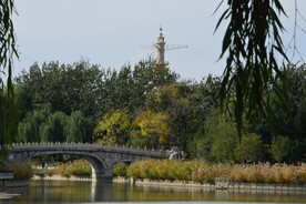 公园风景 