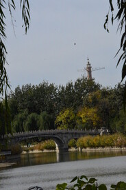公园风景 
