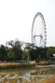 公园风景 