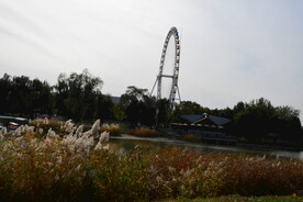公园风景 