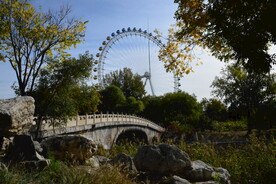 公园风景 