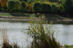 公园风景 